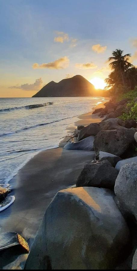 Ti'Bakoua A Sainte-Luce Plage Et Piscine Bagian luar foto
